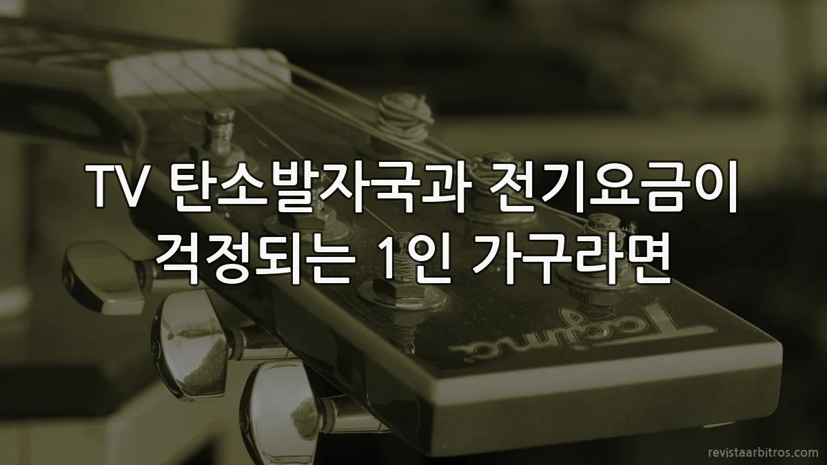TV 탄소발자국과 전기요금이 걱정되는 1인 가구라면