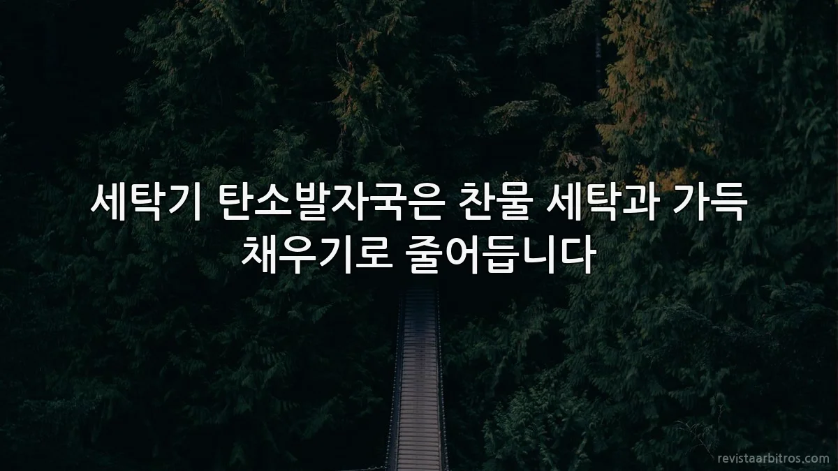 세탁기 탄소발자국은 찬물 세탁과 가득 채우기로 줄어듭니다