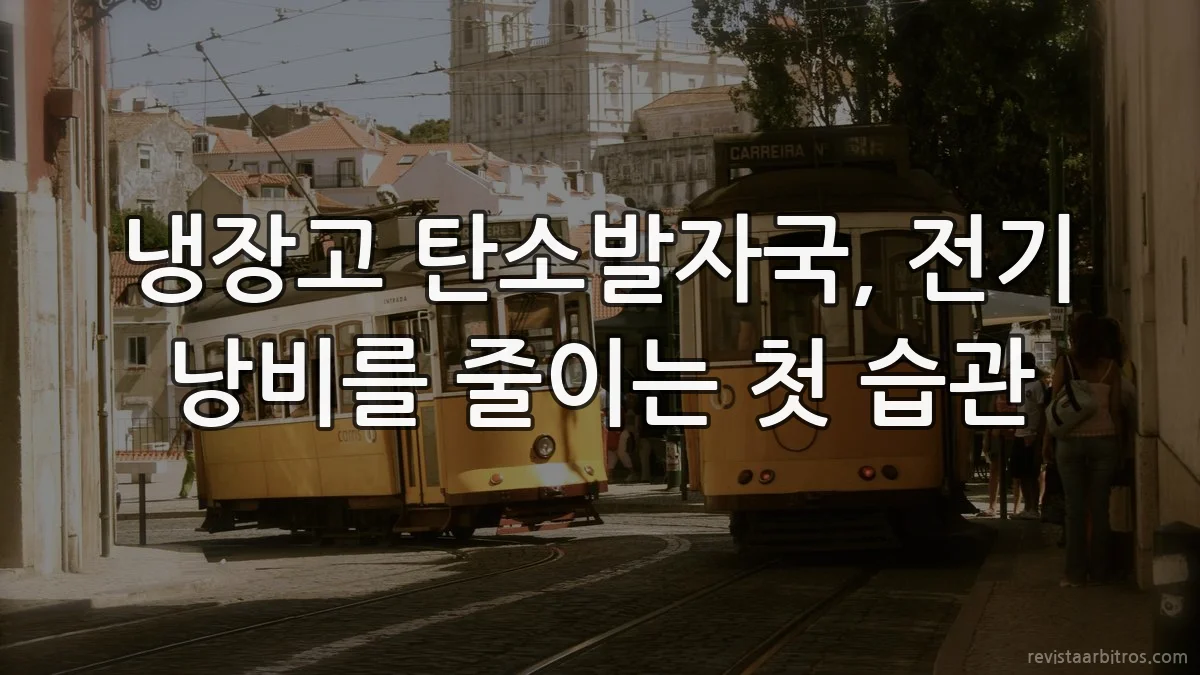 냉장고 탄소발자국, 전기 낭비를 줄이는 첫 습관