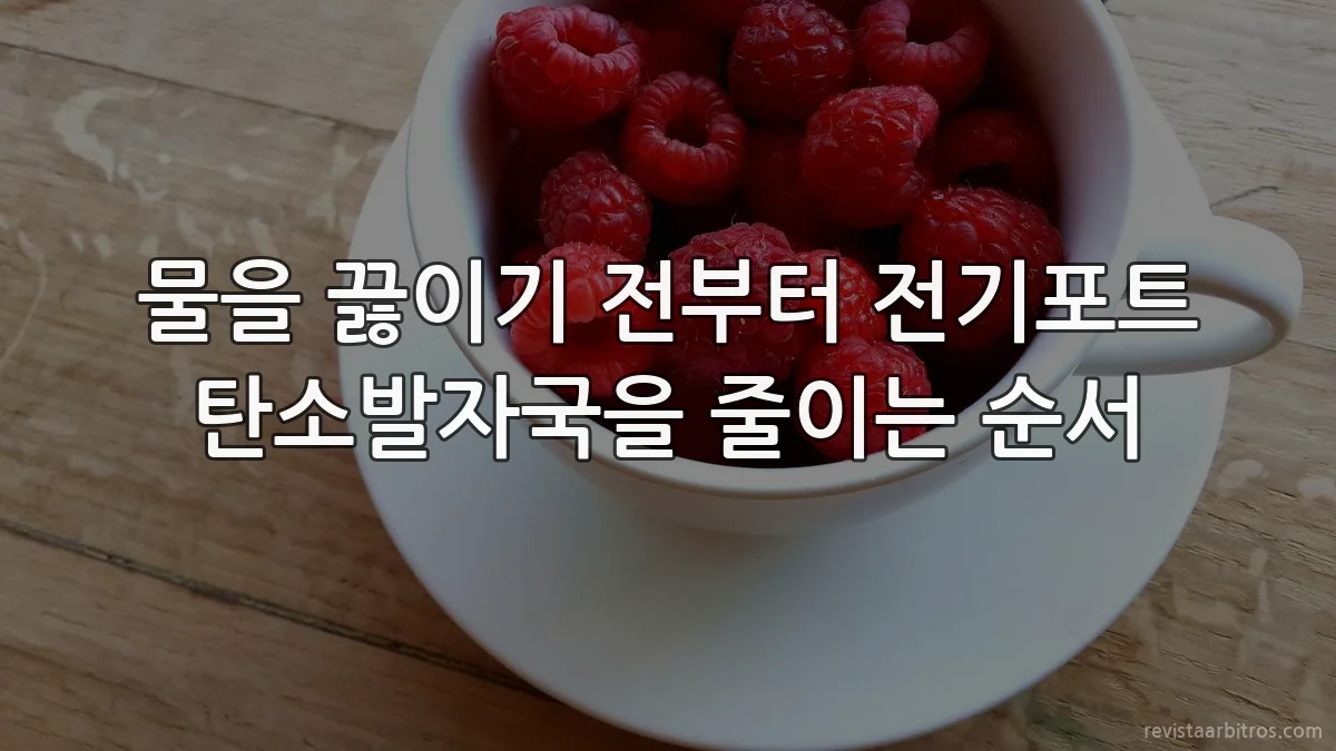 물을 끓이기 전부터 전기포트 탄소발자국을 줄이는 순서