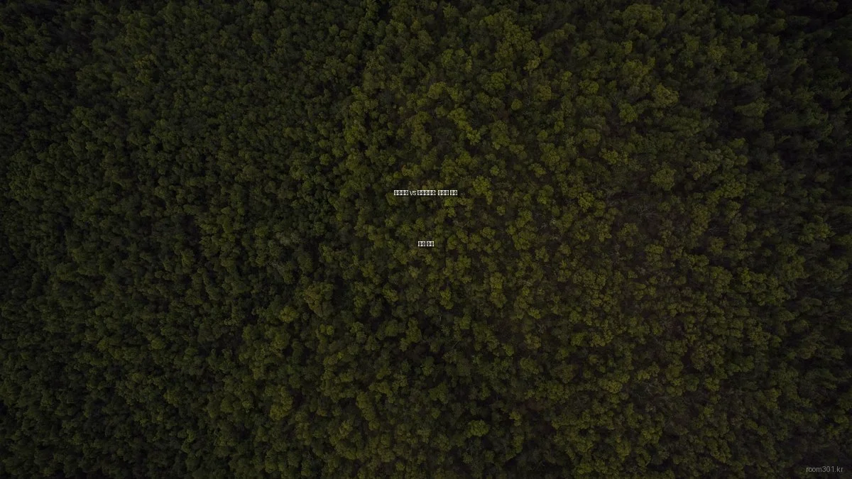 인테리어 vs 공간디자인: 차별화 전략 심층 분석