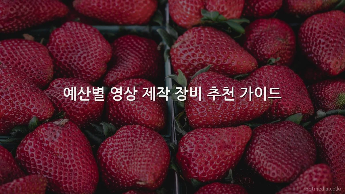 예산별 영상 제작 장비 추천 가이드