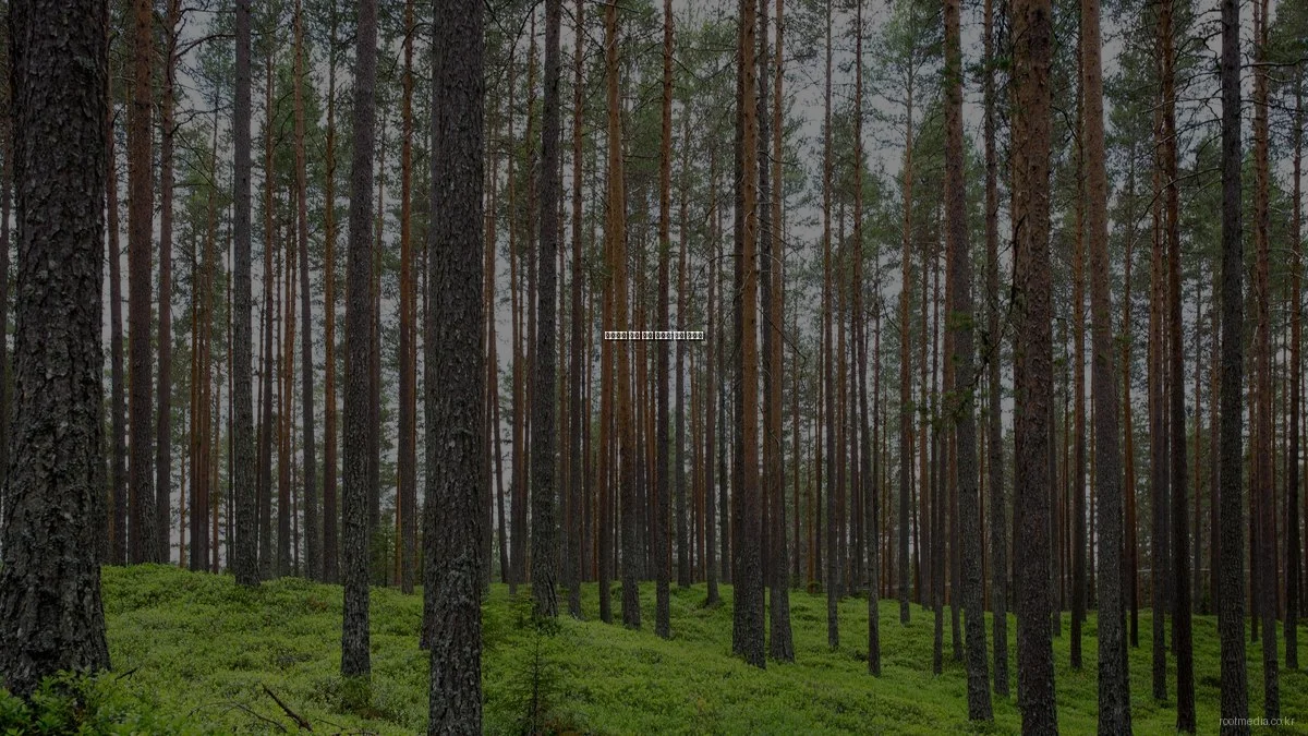 초보자를 위한 영상 콘텐츠 제작 가이드