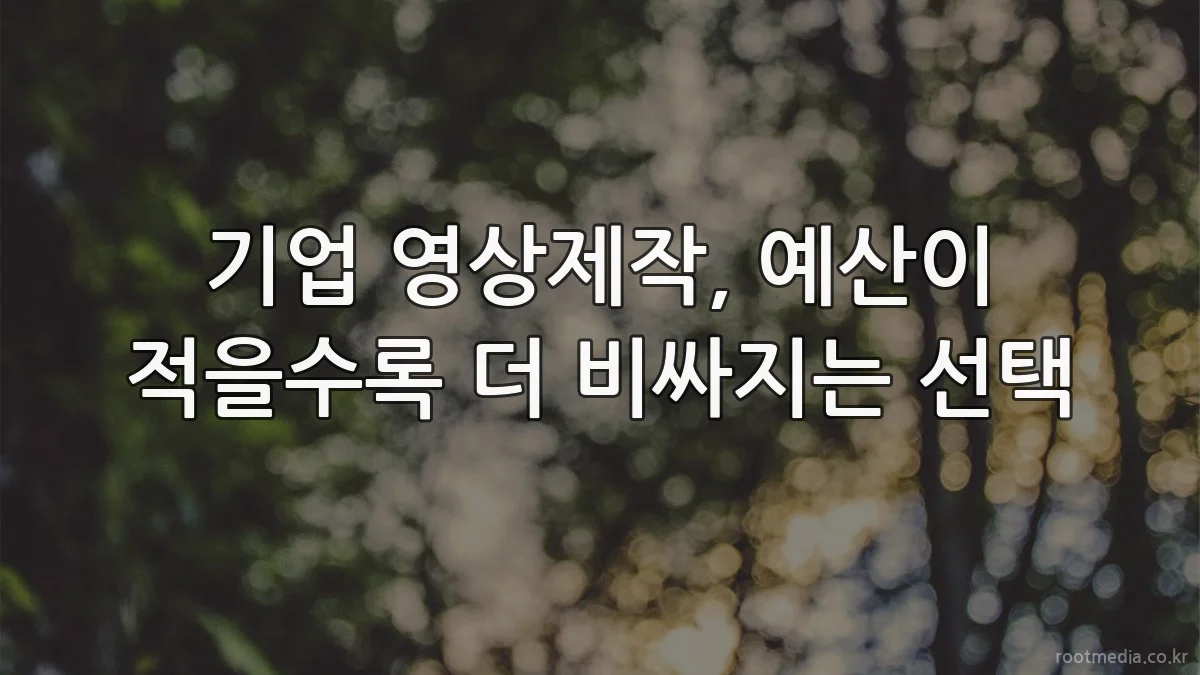 기업 영상제작, 예산이 적을수록 더 비싸지는 선택