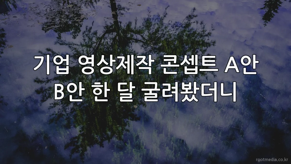 기업 영상제작 콘셉트 A안 B안 한 달 굴려봤더니
