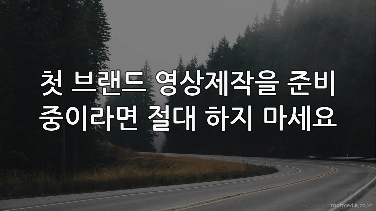첫 브랜드 영상제작을 준비 중이라면 절대 하지 마세요
