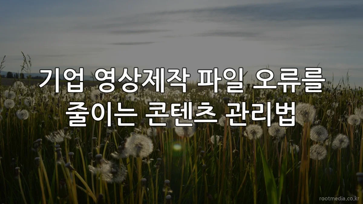 기업 영상제작 파일 오류를 줄이는 콘텐츠 관리법