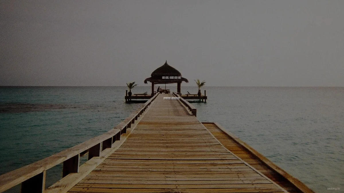 사동 지역, 예산별 맛집 추천: 가성비부터 프리미엄까지