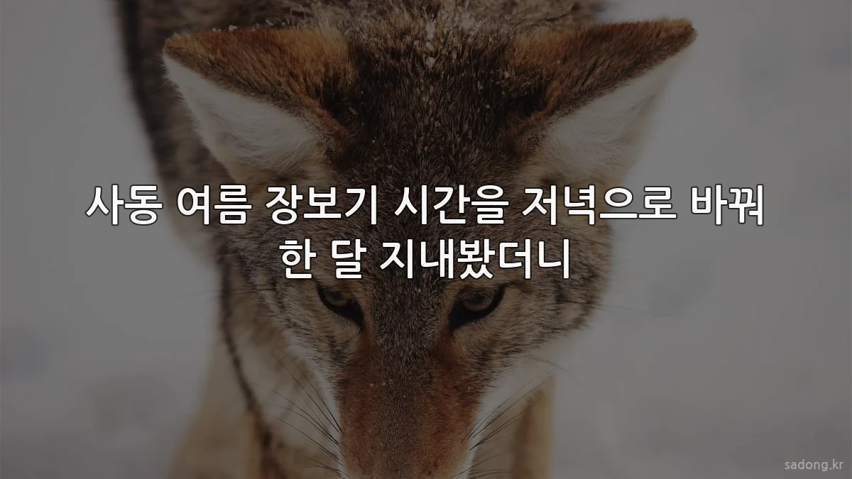 사동 여름 장보기 시간을 저녁으로 바꿔 한 달 지내봤더니