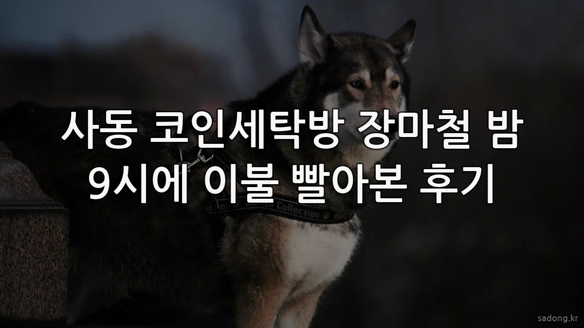 사동 코인세탁방 장마철 밤 9시에 이불 빨아본 후기
