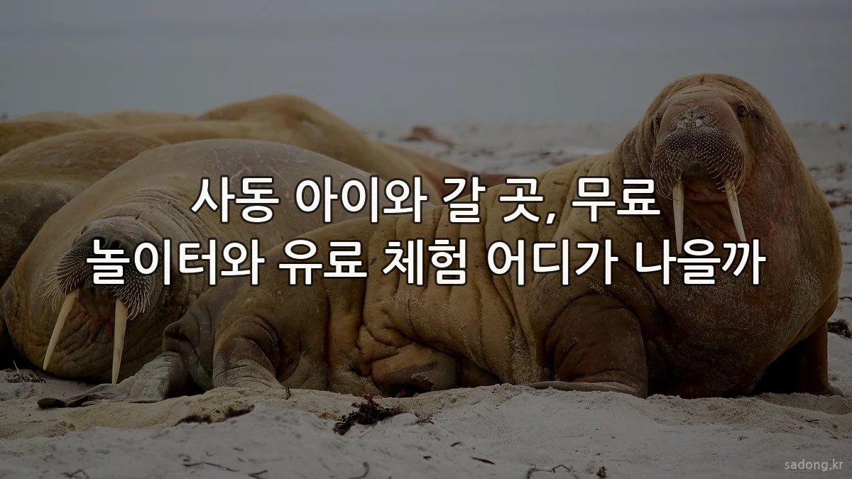 사동 아이와 갈 곳, 무료 놀이터와 유료 체험 어디가 나을까