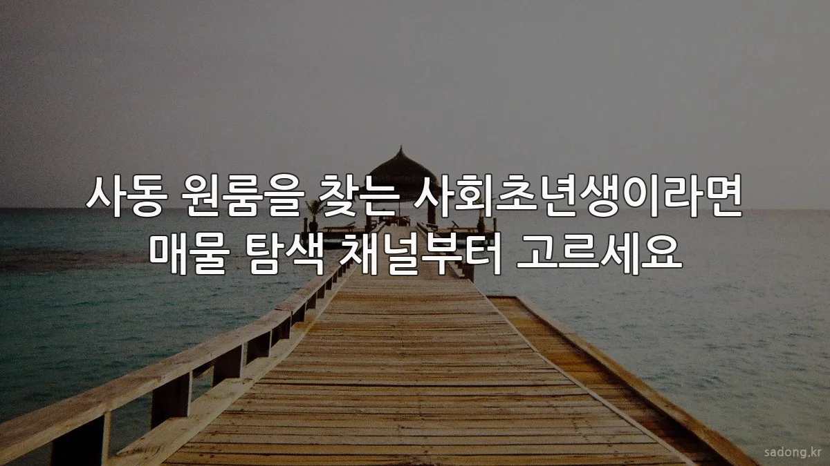 사동 원룸을 찾는 사회초년생이라면 매물 탐색 채널부터 고르세요