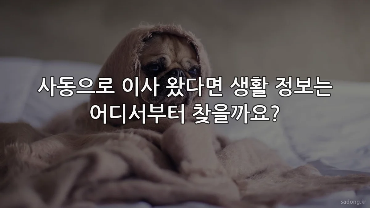 사동으로 이사 왔다면 생활 정보는 어디서부터 찾을까요?