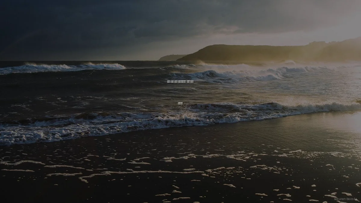 일본 여행 필수 체크리스트: 실수 방지 가이드