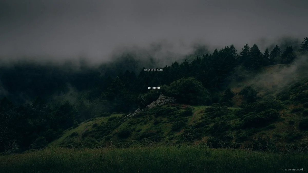 일본 여행 숙소 비교 분석: 호텔, 료칸, 게스트하우스