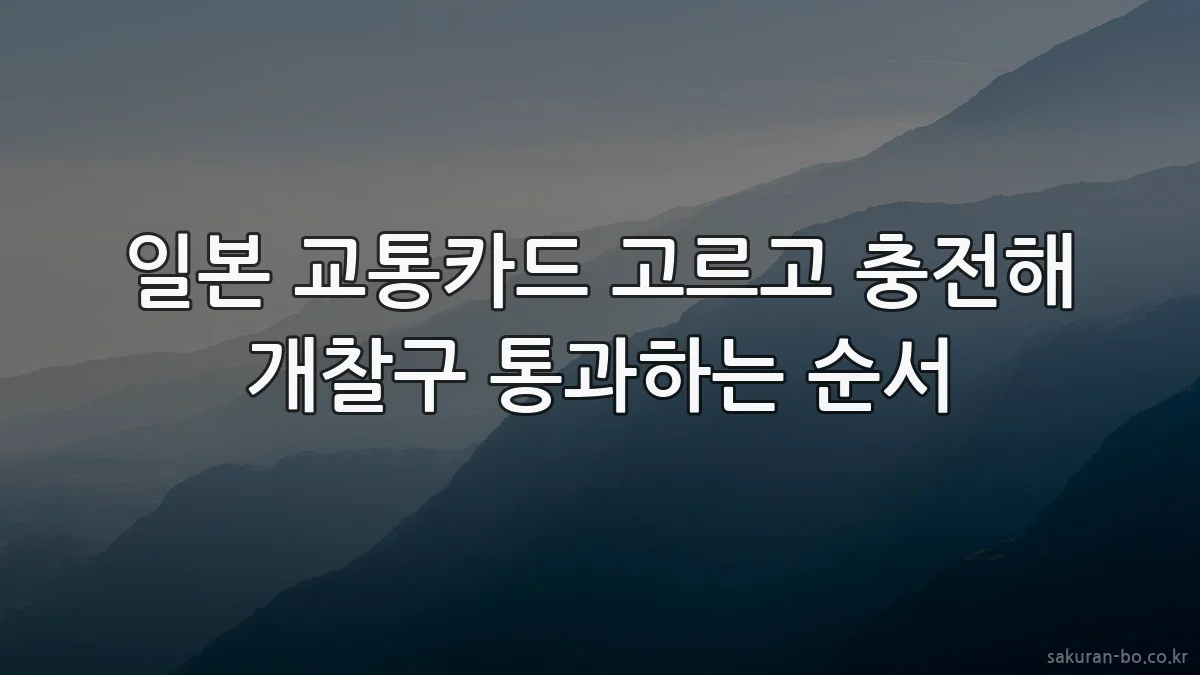 일본 교통카드 고르고 충전해 개찰구 통과하는 순서