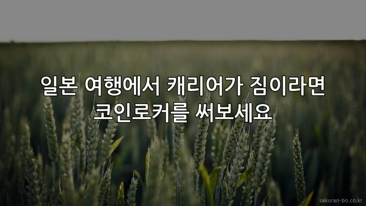 일본 여행에서 캐리어가 짐이라면 코인로커를 써보세요