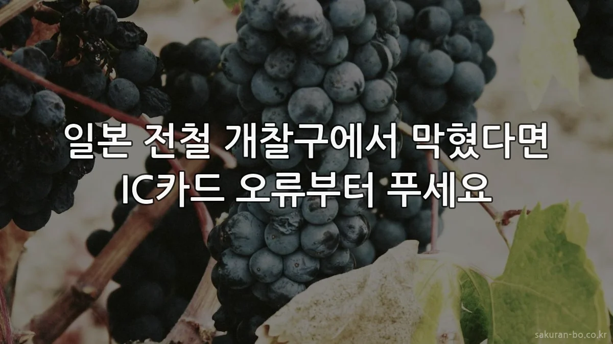 일본 전철 개찰구에서 막혔다면 IC카드 오류부터 푸세요