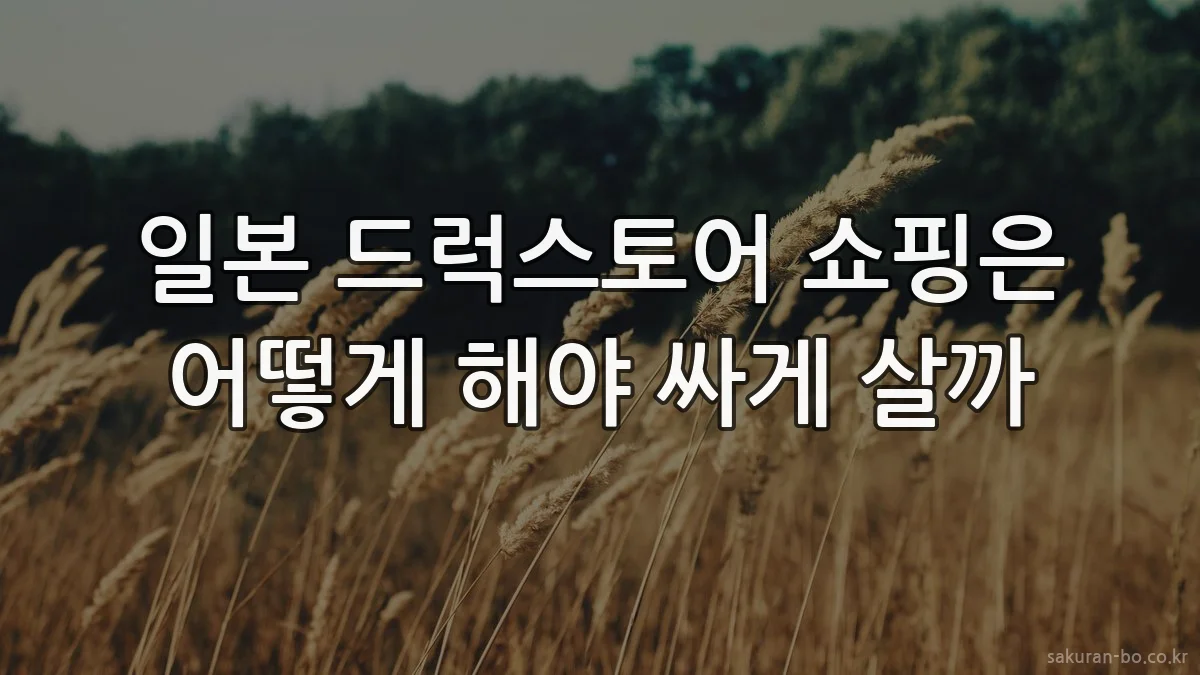 일본 드럭스토어 쇼핑은 어떻게 해야 싸게 살까