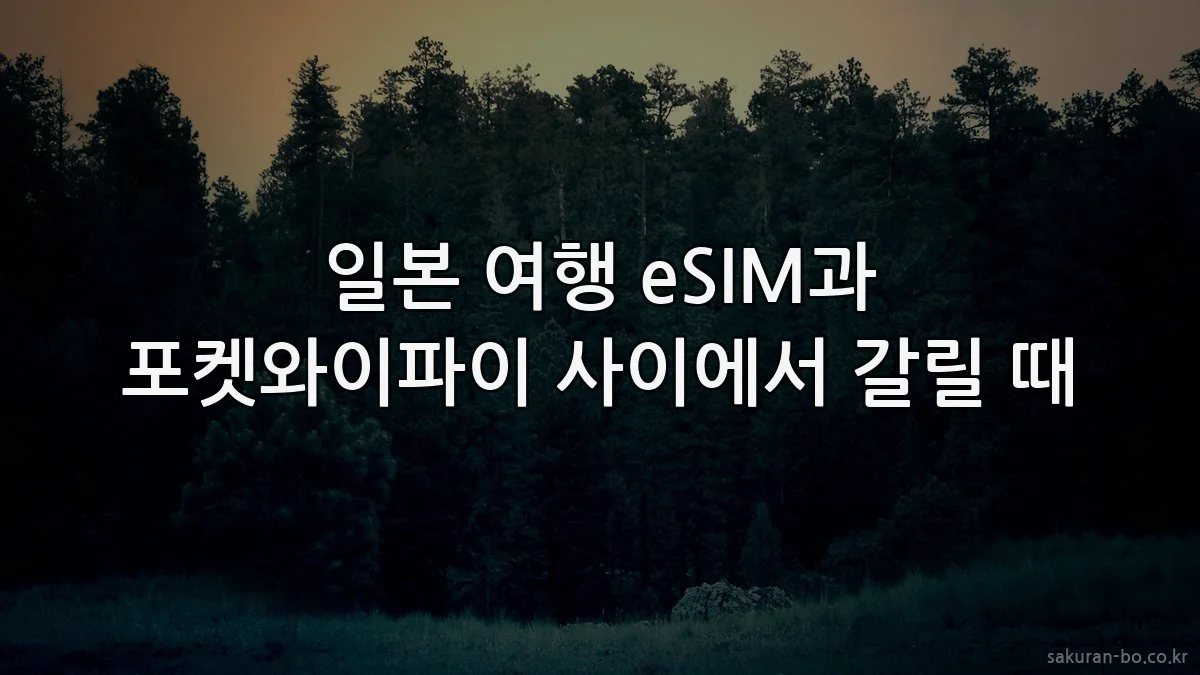 일본 여행 eSIM과 포켓와이파이 사이에서 갈릴 때