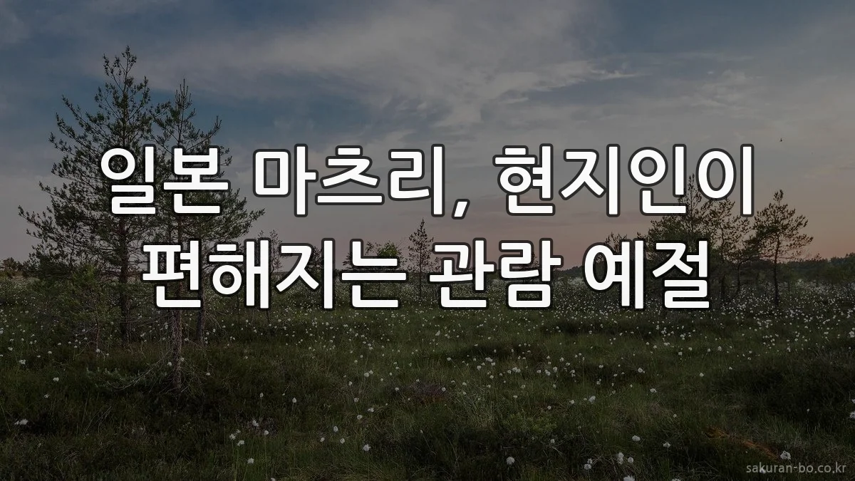 일본 마츠리, 현지인이 편해지는 관람 예절
