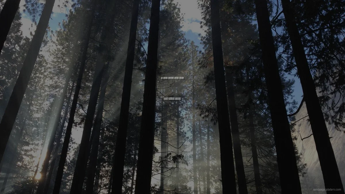 산 비아조 플라타니 아치의 숨겨진 역사적 이야기와 비하인드