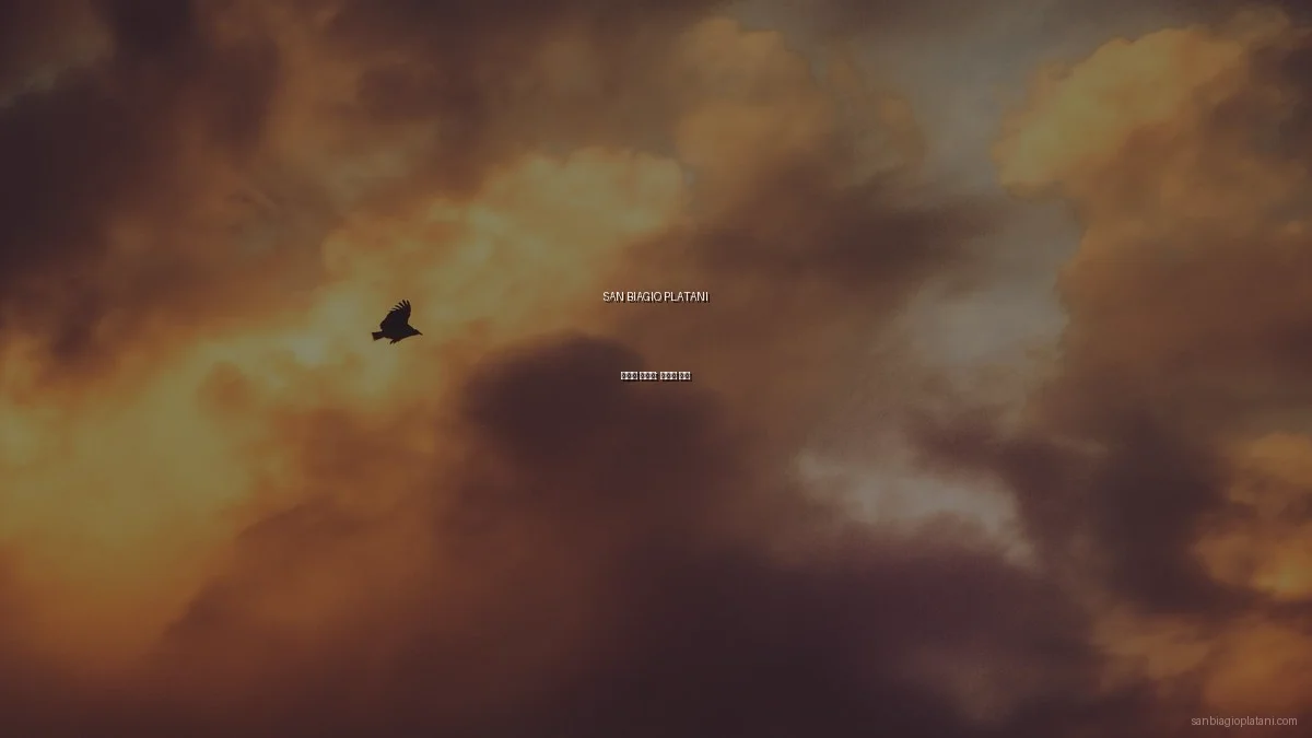 SAN BIAGIO PLATANI 전문가 인터뷰: 아치의 비밀