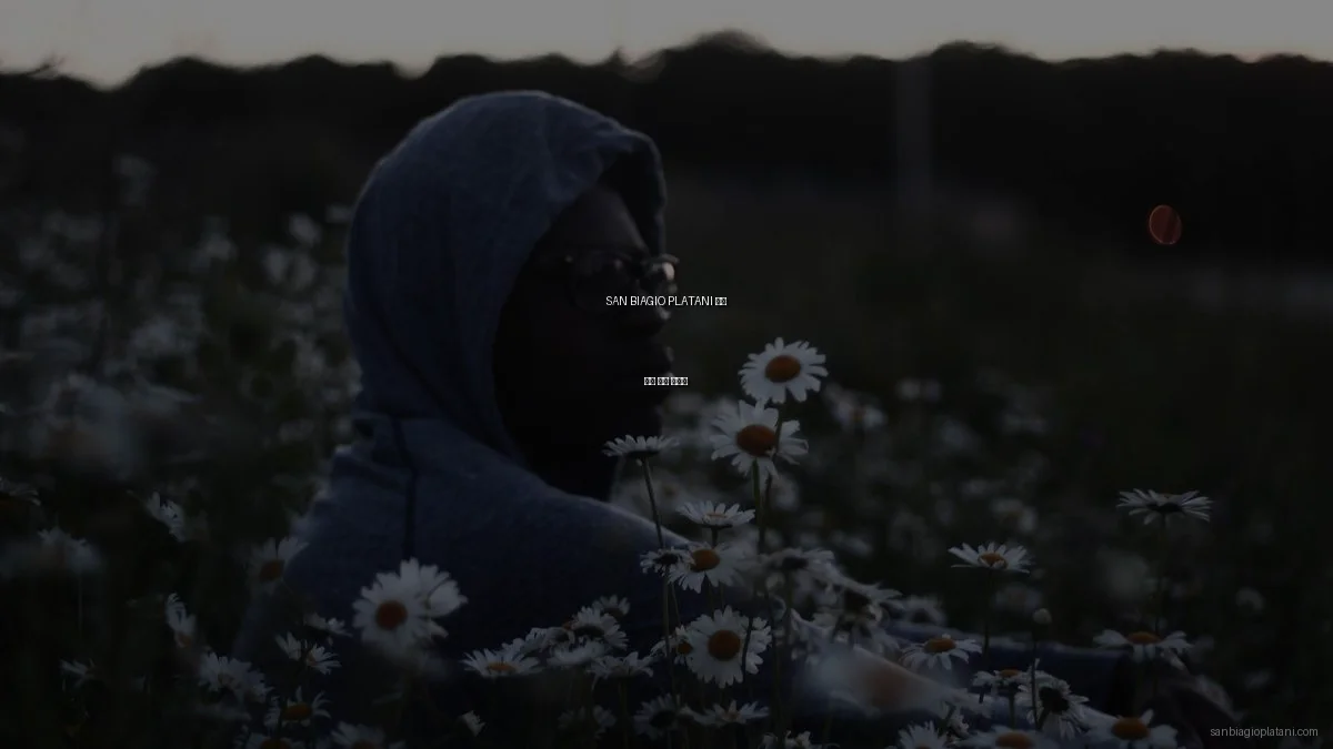 SAN BIAGIO PLATANI 아치 문제 해결 가이드