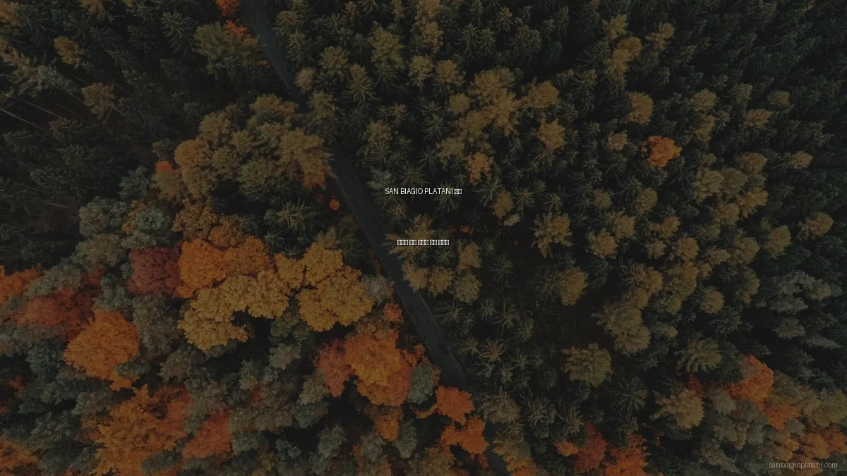 SAN BIAGIO PLATANI 아치 설치의 흔한 실수와 해결 가이드