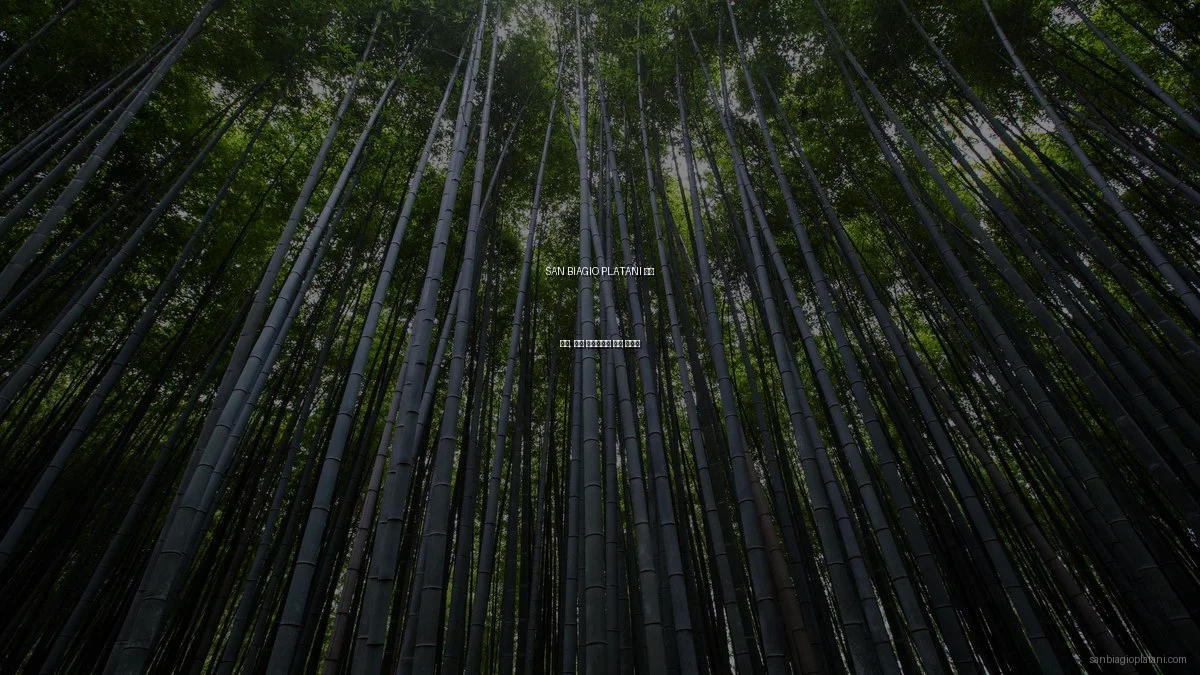 SAN BIAGIO PLATANI 아치 축제, 지역 예술가들의 숨은 이야기
