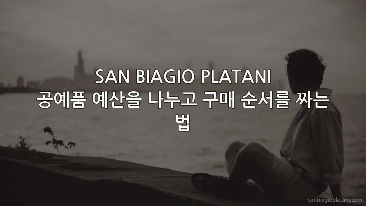 SAN BIAGIO PLATANI 공예품 예산을 나누고 구매 순서를 짜는 법