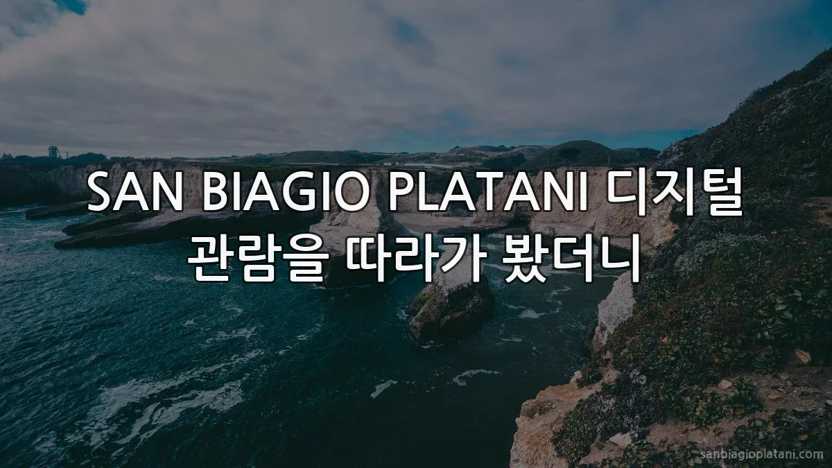 SAN BIAGIO PLATANI 디지털 관람을 따라가 봤더니