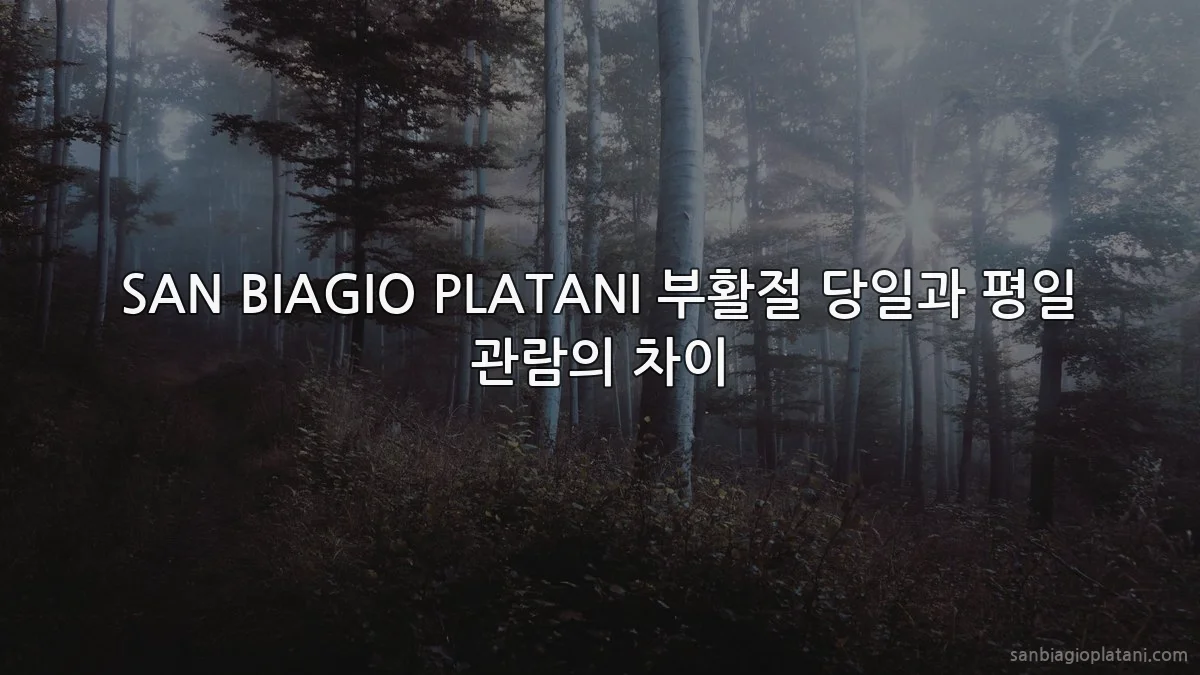 SAN BIAGIO PLATANI 부활절 당일과 평일 관람의 차이