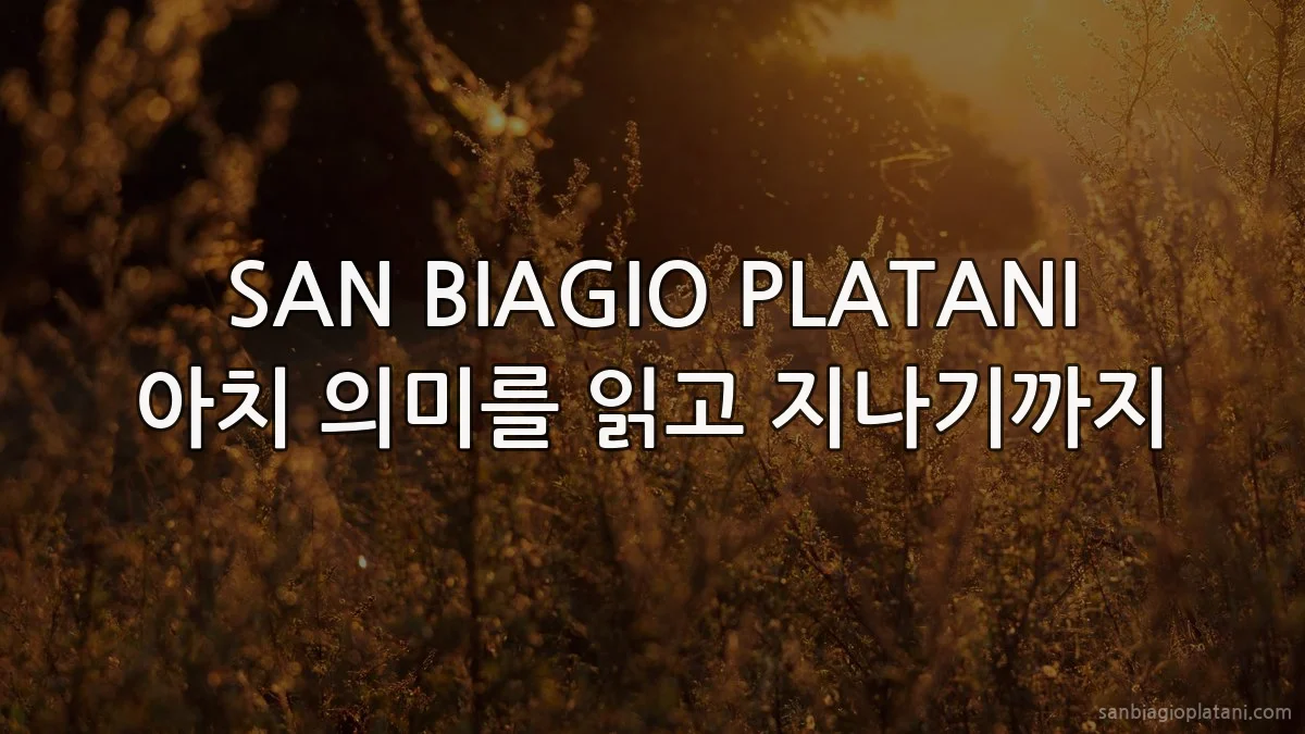 SAN BIAGIO PLATANI 아치 의미를 읽고 지나기까지