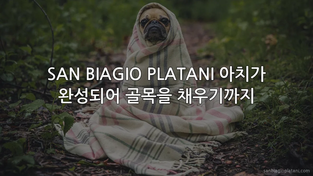 SAN BIAGIO PLATANI 아치가 완성되어 골목을 채우기까지