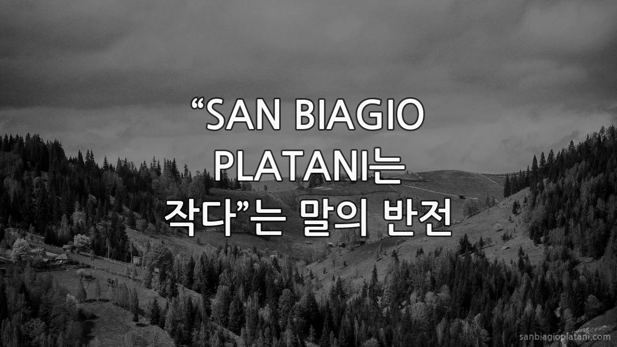 “SAN BIAGIO PLATANI는 작다”는 말의 반전