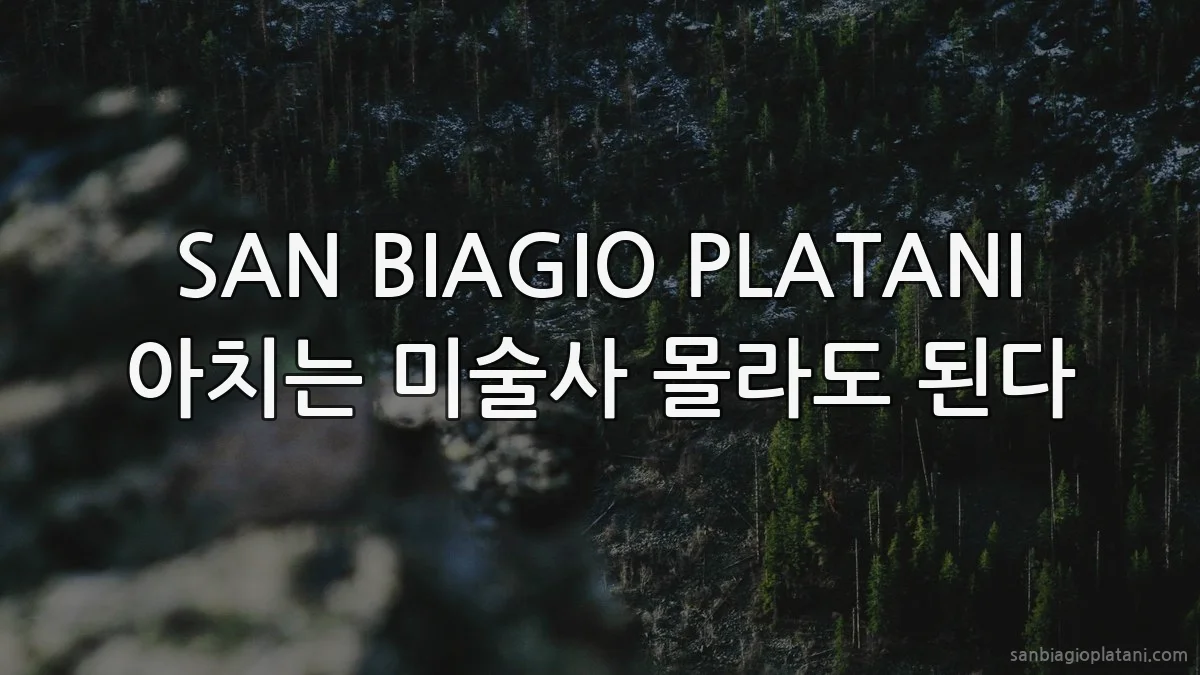 SAN BIAGIO PLATANI 아치는 미술사 몰라도 된다