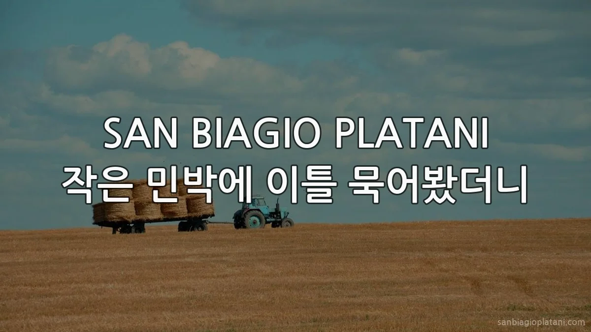 SAN BIAGIO PLATANI 작은 민박에 이틀 묵어봤더니