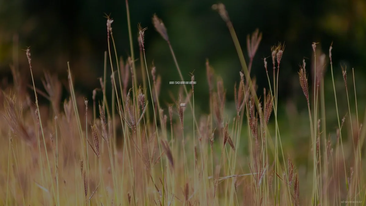 봄맞이 SK뷰 아파트 분양 전략 완벽 가이드