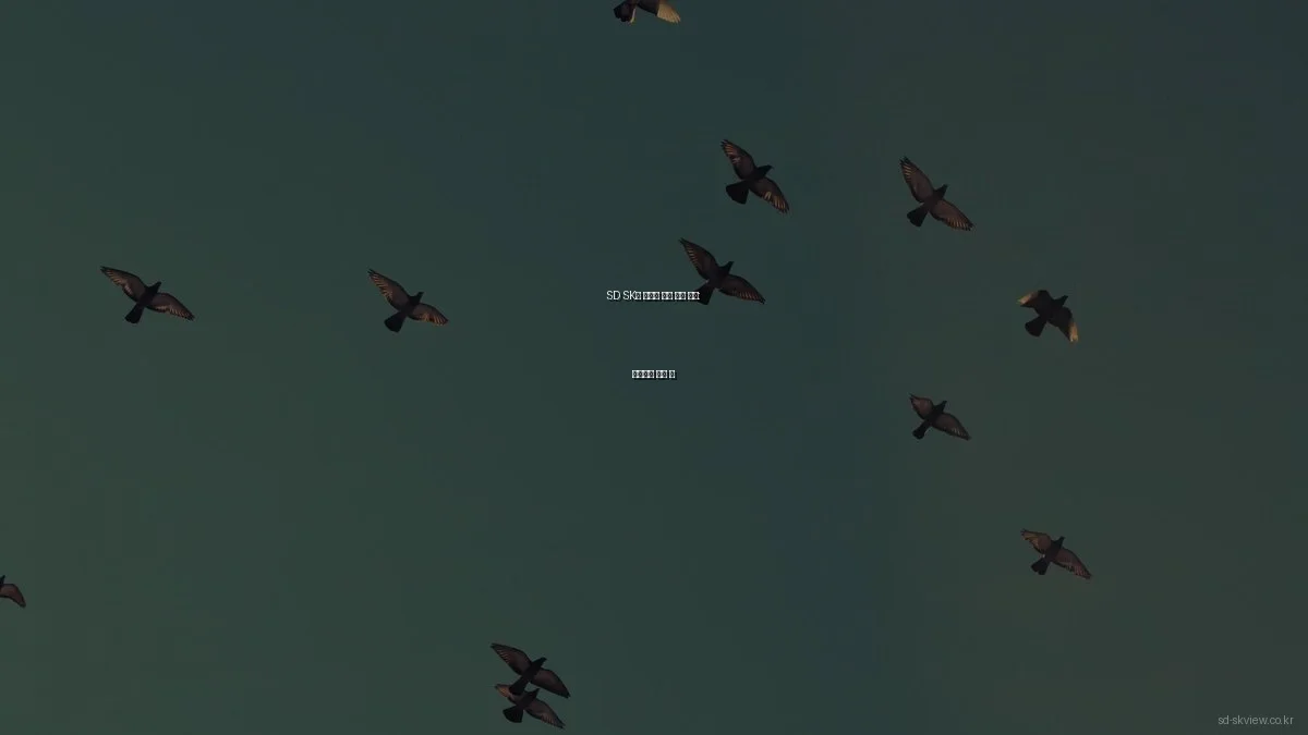 SD SK뷰 아파트 실제 거주 경험: 장단점과 활용 팁