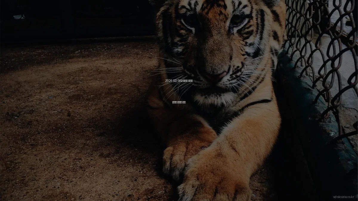 2026 SD SK뷰 아파트 예산별 추천과 가성비 분석