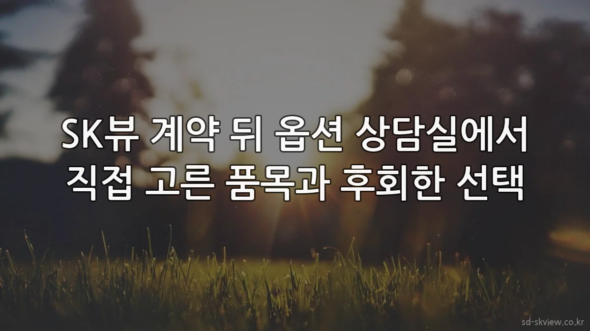 SK뷰 계약 뒤 옵션 상담실에서 직접 고른 품목과 후회한 선택