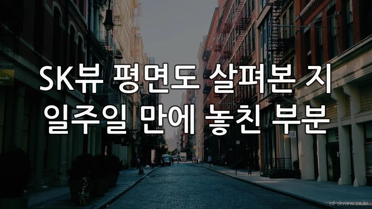 SK뷰 평면도 살펴본 지 일주일 만에 놓친 부분
