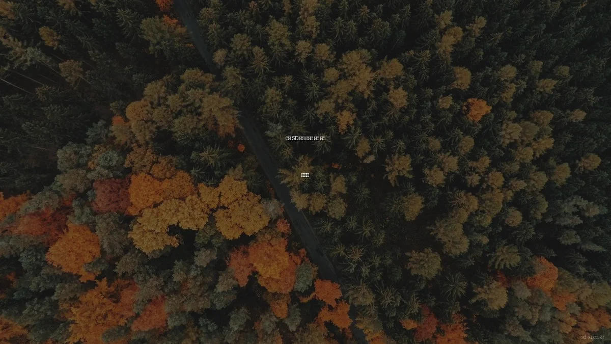 봄철 SD 자이 아파트 분양 활용 가이드