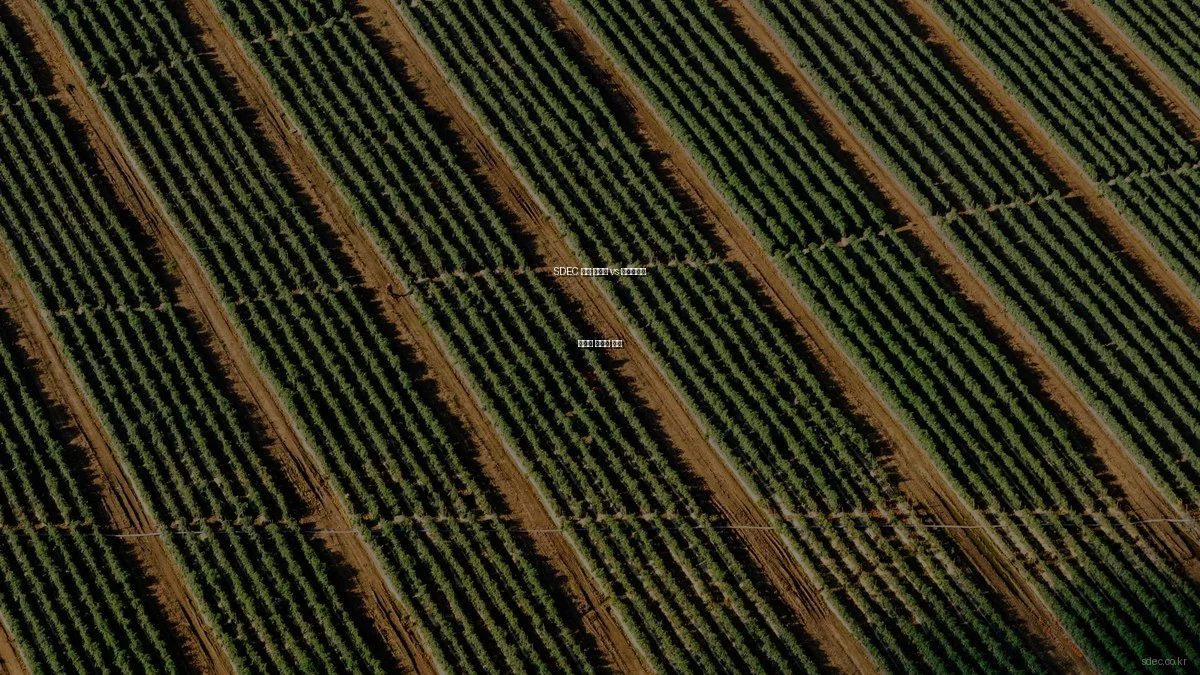 SDEC 기술 솔루션 vs 엔지니어링 서비스 차이점 분석