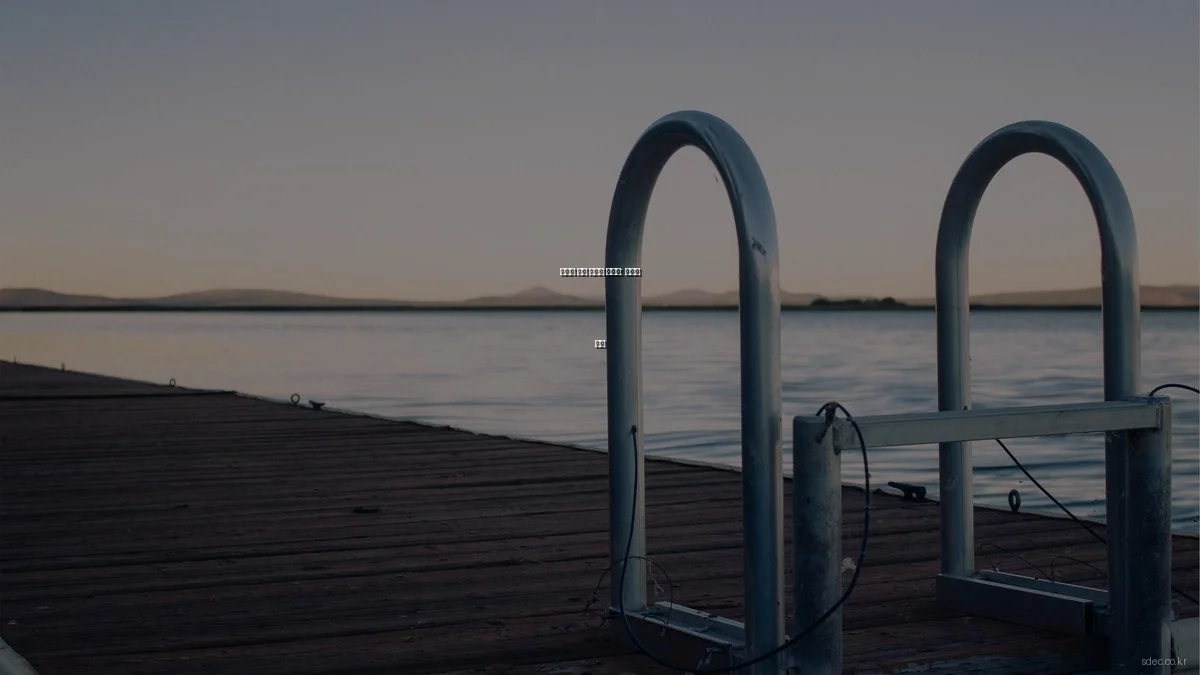 예산별 기술 솔루션 가이드: 가성비 분석