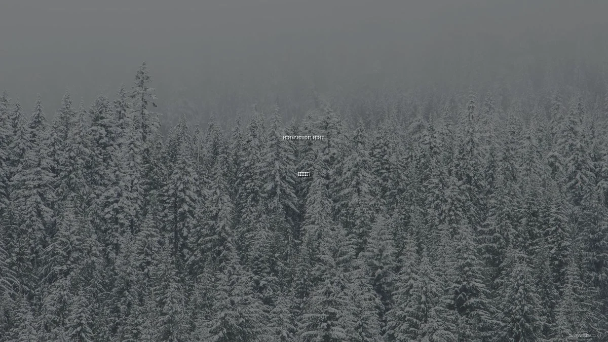 디자인 vs 광고 솔루션, 무엇이 더 필요할까?