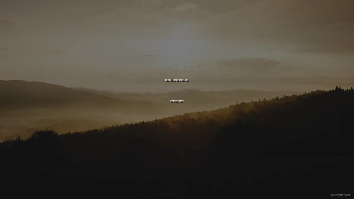 디자인 & 광고 솔루션 비교 분석: 상황별 추천 가이드