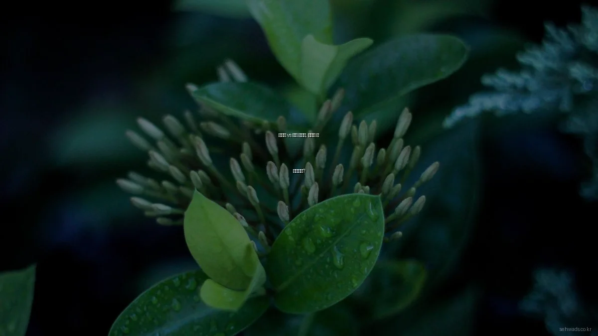 디자인 vs 인쇄 솔루션, 무엇이 더 유리할까?