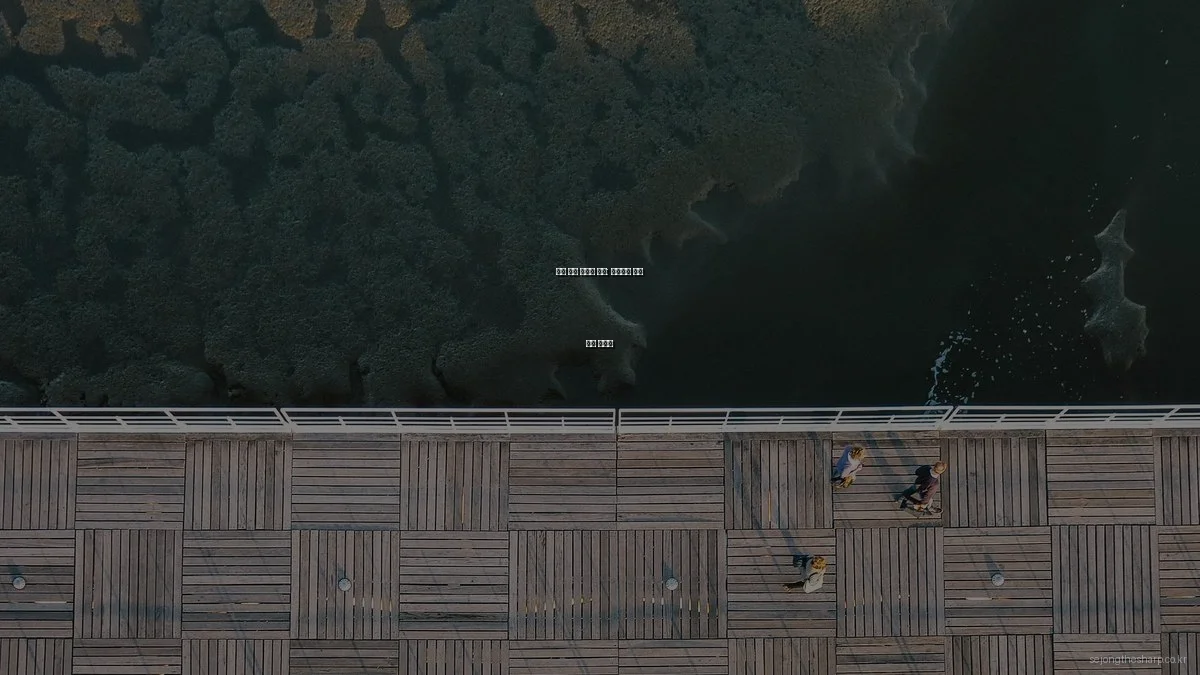 세종 더샵 아파트 분양: 입문자를 위한 완벽 가이드